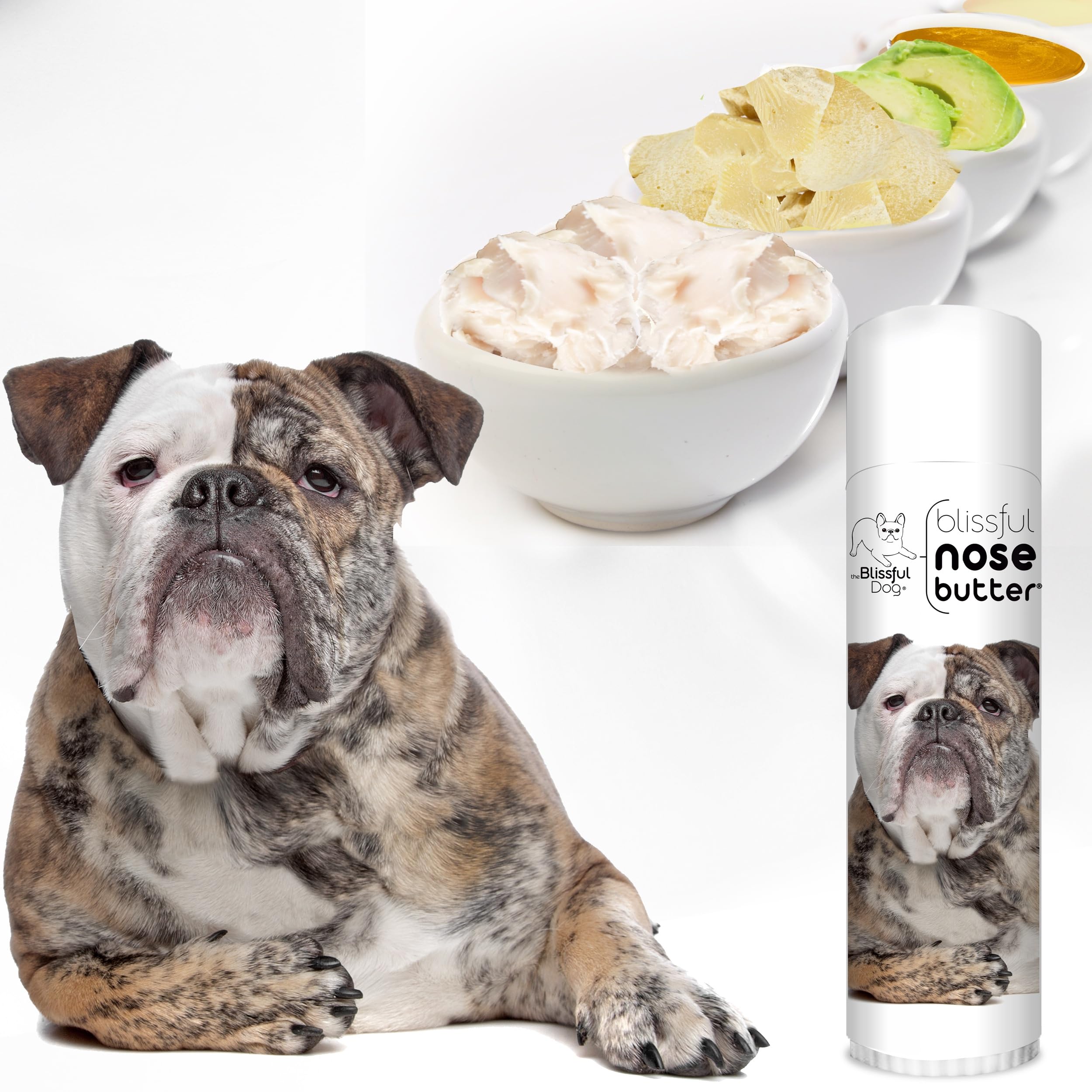 The Blissful Dog Olde English Bulldogge Unscented Nose Butter - Dog Nose Butter, 0.50 Ounce